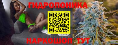 jwh Новокубанск