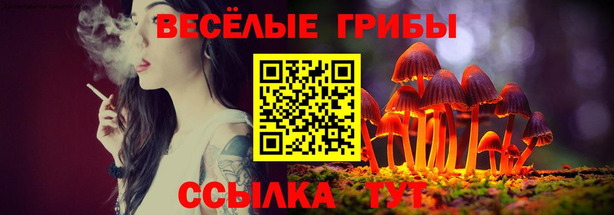 Приморско-Ахтарск  Псилоцибиновые грибы Cubensis  Вход с VPN 
